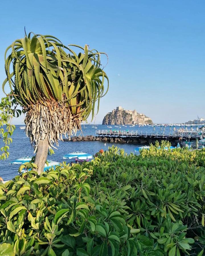 Maison Mele Ischia Exteriér fotografie