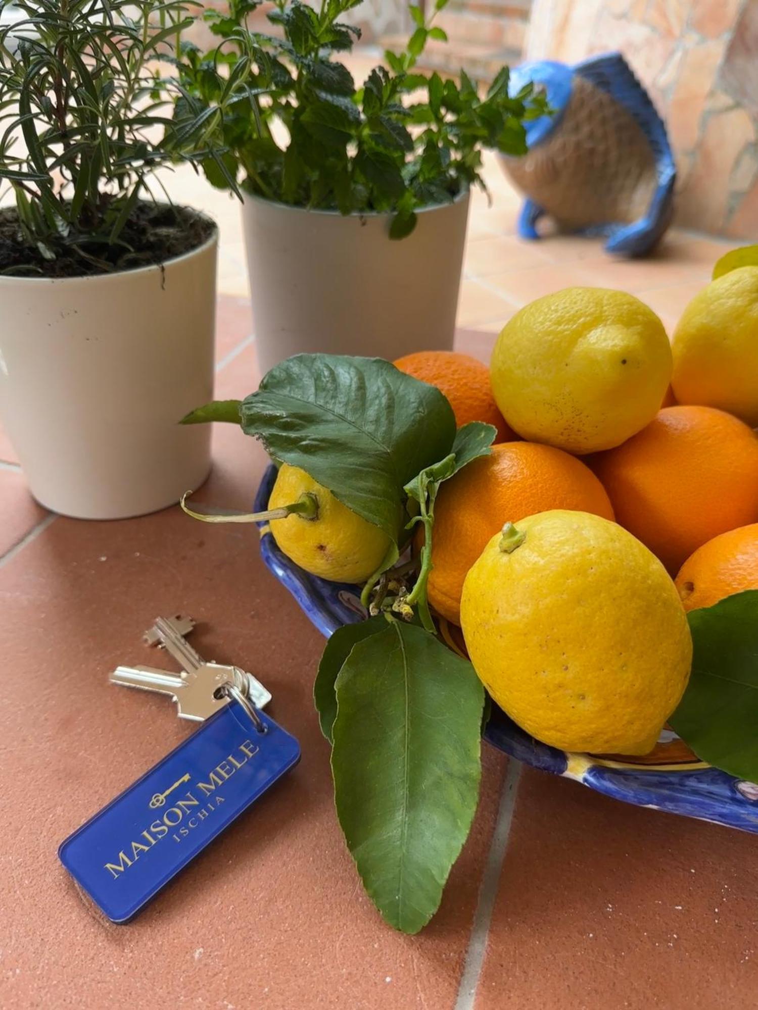 Maison Mele Ischia Exteriér fotografie